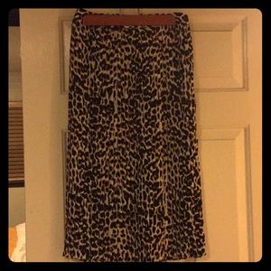 Pleated Skirt